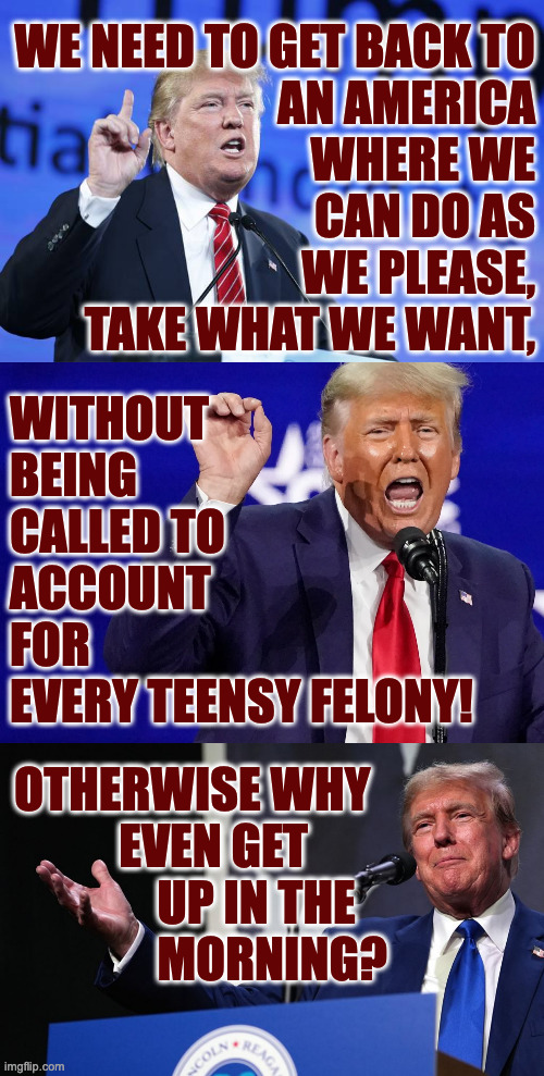 Inauguration preview. | WE NEED TO GET BACK TO
AN AMERICA
WHERE WE
CAN DO AS
WE PLEASE,
TAKE WHAT WE WANT, WITHOUT
BEING
CALLED TO
ACCOUNT
FOR
EVERY TEENSY FELONY! OTHERWISE WHY
           EVEN GET
               UP IN THE
               MORNING? | image tagged in memes,trump inauguration,leadership | made w/ Imgflip meme maker