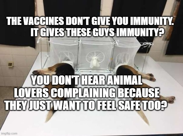 Score two for RFK Jr., Dr. Marty Makary. They already ended cruel animal research. The future of the injections is on the table. | THE VACCINES DON'T GIVE YOU IMMUNITY.          IT GIVES THESE GUYS IMMUNITY? YOU DON'T HEAR ANIMAL LOVERS COMPLAINING BECAUSE THEY JUST WANT TO FEEL SAFE TOO? | image tagged in anthony fauci loves dogs and people | made w/ Imgflip meme maker