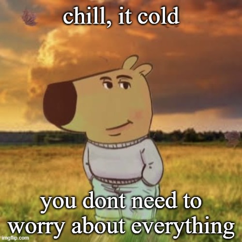 chill guy | chill, it cold; you dont need to worry about everything | image tagged in chill guy | made w/ Imgflip meme maker