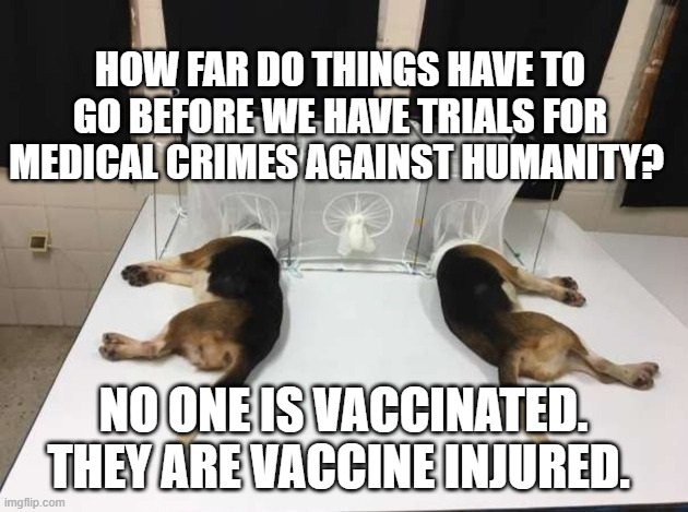 Anthony Fauci Loves Dogs and People | HOW FAR DO THINGS HAVE TO GO BEFORE WE HAVE TRIALS FOR MEDICAL CRIMES AGAINST HUMANITY? NO ONE IS VACCINATED. THEY ARE VACCINE INJURED. | image tagged in anthony fauci loves dogs and people | made w/ Imgflip meme maker