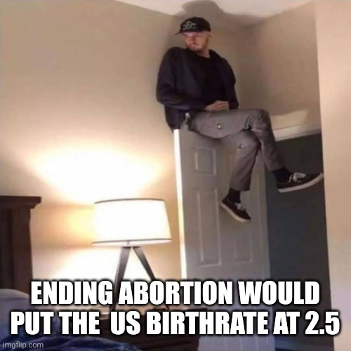 On the door | ENDING ABORTION WOULD PUT THE  US BIRTHRATE AT 2.5 | image tagged in on the door,funny memes | made w/ Imgflip meme maker