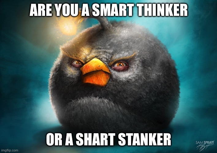 Realistic Bomb Angry Bird | ARE YOU A SMART THINKER OR A SHART STANKER | image tagged in realistic bomb angry bird | made w/ Imgflip meme maker