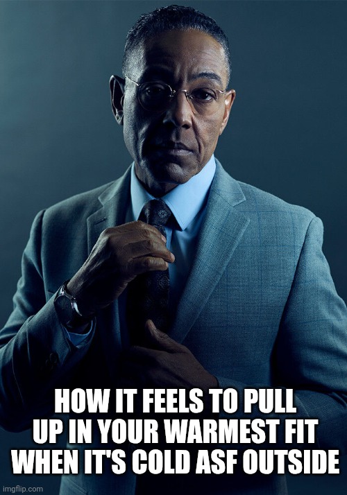 Fr | HOW IT FEELS TO PULL UP IN YOUR WARMEST FIT WHEN IT'S COLD ASF OUTSIDE | image tagged in gus fring we are not the same | made w/ Imgflip meme maker