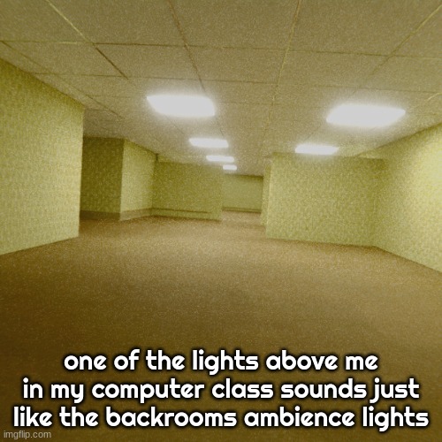 yk what I mean? | one of the lights above me in my computer class sounds just like the backrooms ambience lights | image tagged in backrooms | made w/ Imgflip meme maker