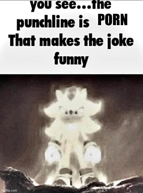 Shadow explains the joke | PORN | image tagged in shadow explains the joke | made w/ Imgflip meme maker