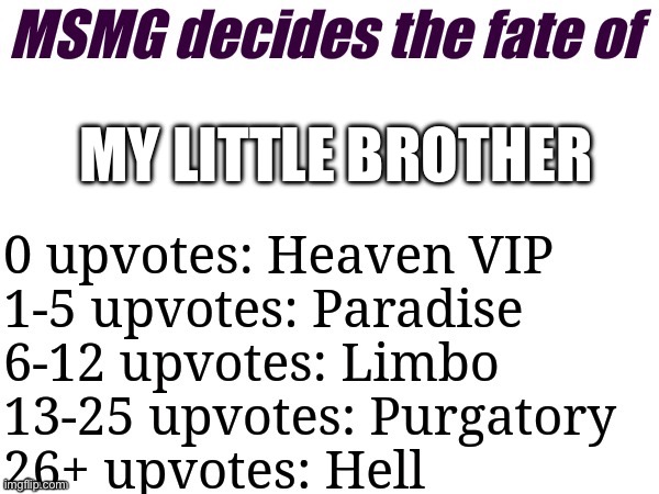 MSMG decides | MY LITTLE BROTHER | image tagged in msmg decides | made w/ Imgflip meme maker