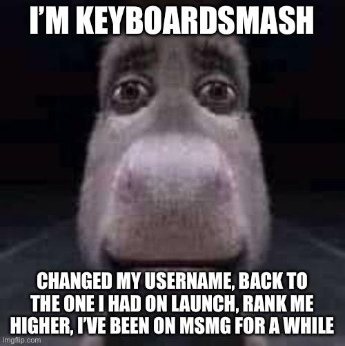 Donkey staring | I’M KEYBOARDSMASH; CHANGED MY USERNAME, BACK TO THE ONE I HAD ON LAUNCH, RANK ME HIGHER, I’VE BEEN ON MSMG FOR A WHILE | image tagged in donkey staring | made w/ Imgflip meme maker