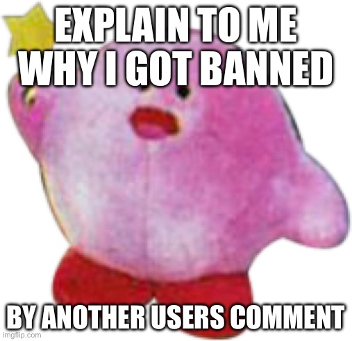 Kerbe | EXPLAIN TO ME WHY I GOT BANNED; BY ANOTHER USERS COMMENT | image tagged in kerbe | made w/ Imgflip meme maker