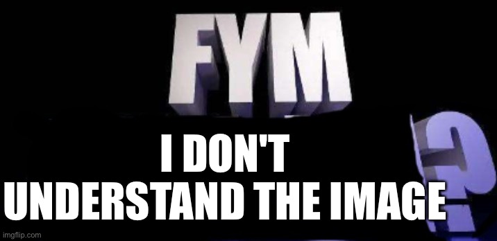 fym______? | I DON'T UNDERSTAND THE IMAGE | image tagged in fym______ | made w/ Imgflip meme maker