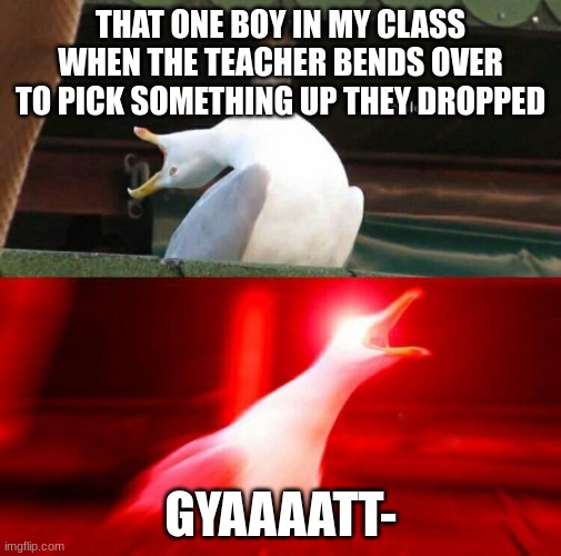 its annoying everytime and the teacher does nothing. | THAT ONE BOY IN MY CLASS WHEN THE TEACHER BENDS OVER TO PICK SOMETHING UP THEY DROPPED; GYAAAATT- | image tagged in inhaling seagull | made w/ Imgflip meme maker