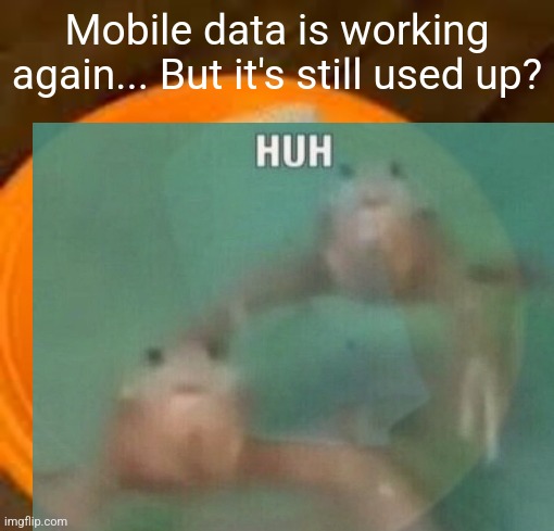 JimmyHere Burrito | Mobile data is working again... But it's still used up? | image tagged in jimmyhere burrito | made w/ Imgflip meme maker