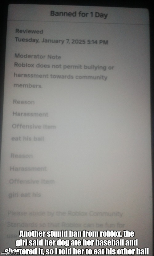 shit is not dat serious | Another stupid ban from roblox, the girl said her dog ate her baseball and shattered it, so I told her to eat his other ball | made w/ Imgflip meme maker