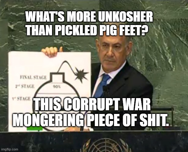 Bibi bomb | WHAT'S MORE UNKOSHER THAN PICKLED PIG FEET? THIS CORRUPT WAR MONGERING PIECE OF SHIT. | image tagged in bibi bomb | made w/ Imgflip meme maker