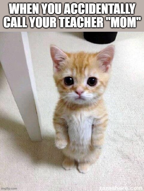 When you call your teacher Mom | WHEN YOU ACCIDENTALLY CALL YOUR TEACHER "MOM" | image tagged in memes,cute cat | made w/ Imgflip meme maker