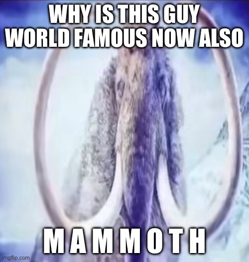 Mammoth | WHY IS THIS GUY WORLD FAMOUS NOW ALSO; M A M M O T H | image tagged in mammoth | made w/ Imgflip meme maker