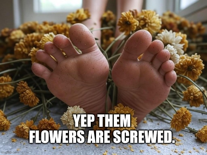 Funny | YEP THEM FLOWERS ARE SCREWED. | image tagged in funny memes | made w/ Imgflip meme maker