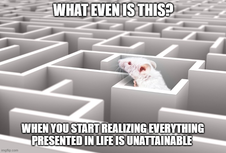 what is this? | WHAT EVEN IS THIS? WHEN YOU START REALIZING EVERYTHING PRESENTED IN LIFE IS UNATTAINABLE | image tagged in rat,maze | made w/ Imgflip meme maker