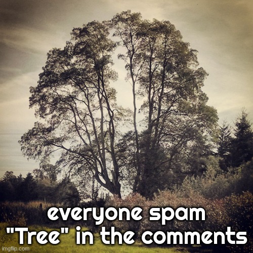 tree | everyone spam "Tree" in the comments | image tagged in tree quote inspirational | made w/ Imgflip meme maker