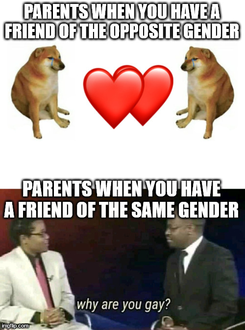 Parent slander # find csc(cos(sin(tan(sec(sin(25))))) | PARENTS WHEN YOU HAVE A FRIEND OF THE OPPOSITE GENDER; PARENTS WHEN YOU HAVE A FRIEND OF THE SAME GENDER | image tagged in cheems vs cheems,why are you gay | made w/ Imgflip meme maker