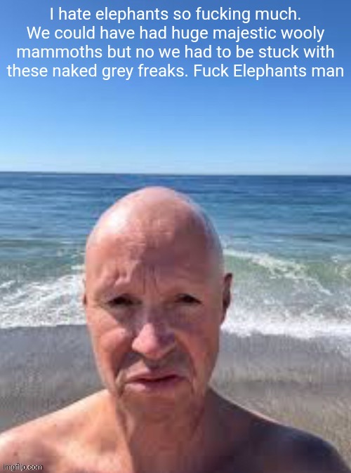 Cocky no want boing boing | I hate elephants so fucking much. We could have had huge majestic wooly mammoths but no we had to be stuck with these naked grey freaks. Fuck Elephants man | image tagged in cocky no want boing boing | made w/ Imgflip meme maker