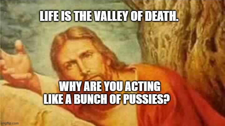 Confused jesus | LIFE IS THE VALLEY OF DEATH. WHY ARE YOU ACTING LIKE A BUNCH OF PUSSIES? | image tagged in confused jesus | made w/ Imgflip meme maker