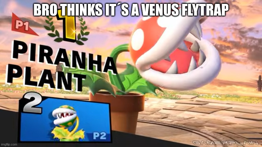 Venus Flytrap SSBU | BRO THINKS IT´S A VENUS FLYTRAP | image tagged in super smash bros | made w/ Imgflip meme maker