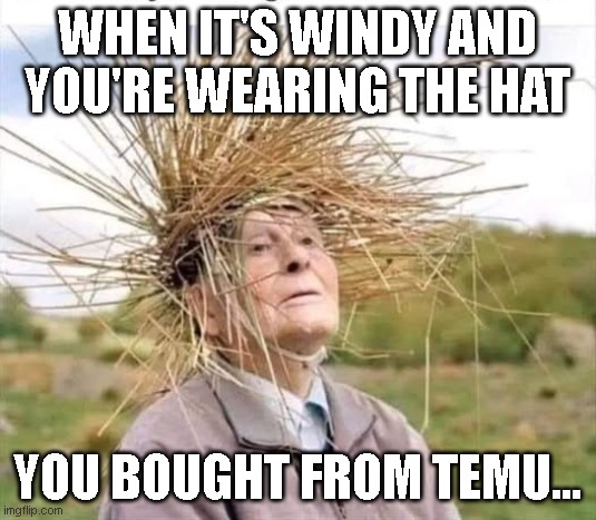 WHEN IT'S WINDY AND YOU'RE WEARING THE HAT; YOU BOUGHT FROM TEMU... | image tagged in funny memes,funny meme,funny,lol | made w/ Imgflip meme maker