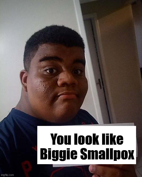 Biggie is back | You look like Biggie Smallpox | image tagged in insults | made w/ Imgflip meme maker