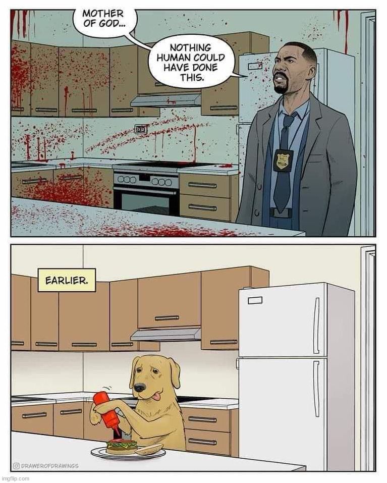 Dog crime scene | image tagged in comics/cartoons | made w/ Imgflip meme maker