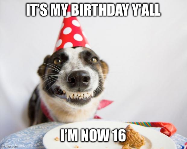 Birthday | IT’S MY BIRTHDAY Y’ALL; I’M NOW 16 | image tagged in birthday dog,happy birthday | made w/ Imgflip meme maker