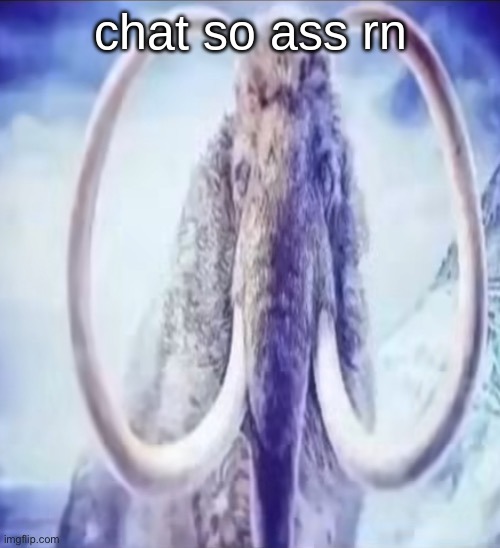 Mammoth | chat so ass rn | image tagged in mammoth | made w/ Imgflip meme maker