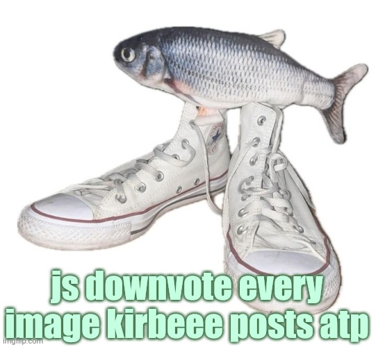 fihs | js downvote every image kirbeee posts atp | image tagged in fihs | made w/ Imgflip meme maker