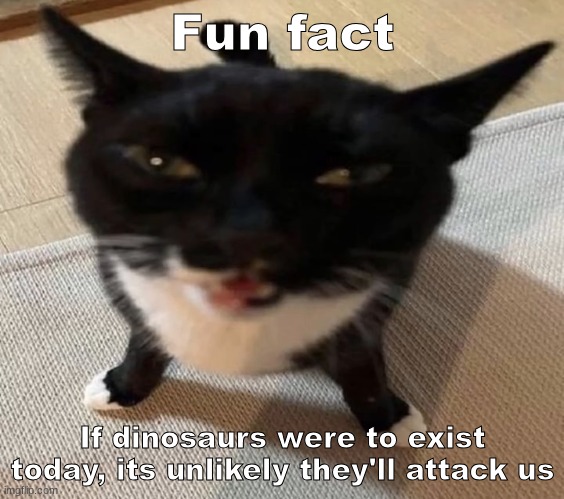 Cat of anger | Fun fact; If dinosaurs were to exist today, its unlikely they'll attack us | image tagged in cat of anger | made w/ Imgflip meme maker