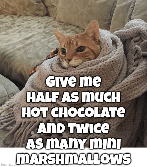 Please And Thank You | Give me half as much hot chocolate; and twice as many mini marshmallows | image tagged in cozy cat,hot chocolate,mini marshmallows,cozy,yummy,memes | made w/ Imgflip meme maker