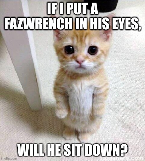 Cute Cat | IF I PUT A FAZWRENCH IN HIS EYES, WILL HE SIT DOWN? | image tagged in memes,cute cat | made w/ Imgflip meme maker