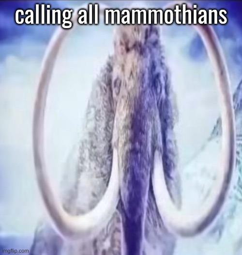 Mammoth | calling all mammothians | image tagged in mammoth | made w/ Imgflip meme maker