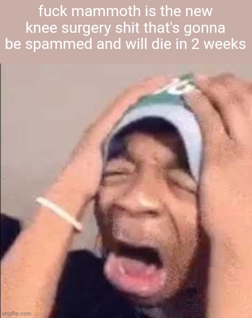 Flightreacts crying | fuck mammoth is the new knee surgery shit that's gonna be spammed and will die in 2 weeks | image tagged in flightreacts crying | made w/ Imgflip meme maker