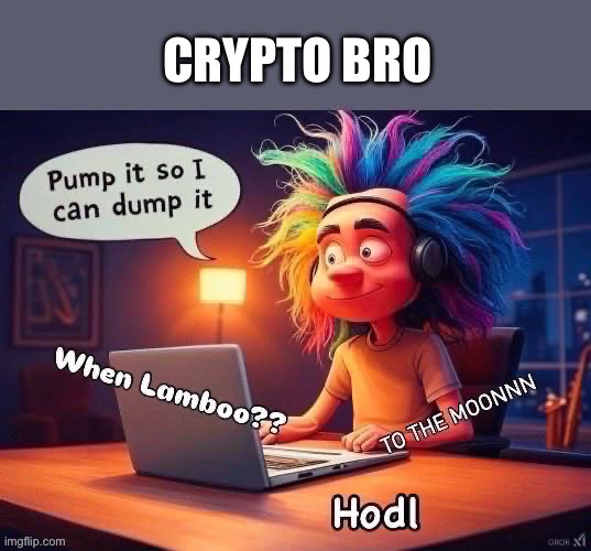 Crypto bro | image tagged in crypto,cryptocurrency,when lambo,hodl | made w/ Imgflip meme maker