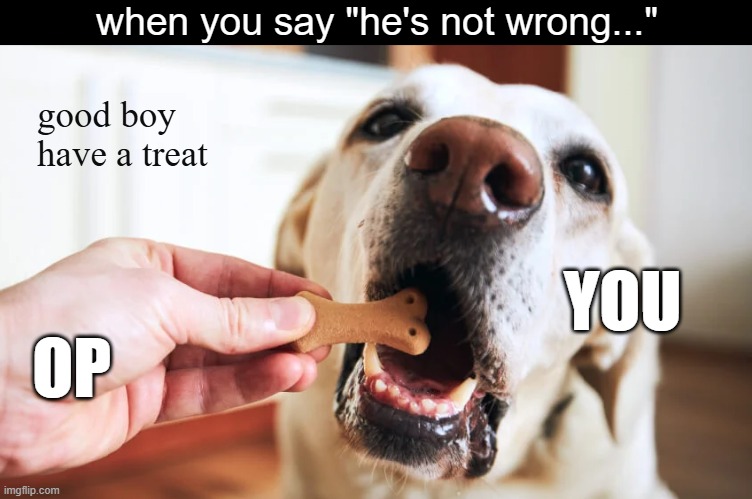 when you say "he's not wrong..."; good boy have a treat; YOU; OP | image tagged in memes,dogs,animals,facebook,social media,followers | made w/ Imgflip meme maker