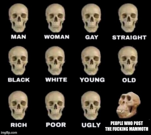 idiot skull | PEOPLE WHO POST THE FUCKING MAMMOTH | image tagged in idiot skull | made w/ Imgflip meme maker