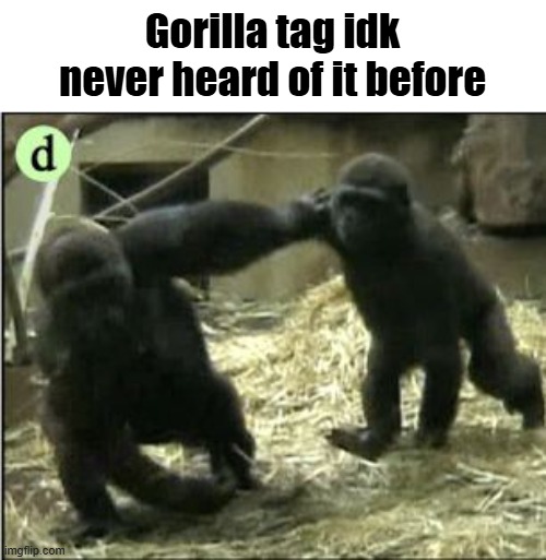 Gorilla tag idk never heard of it before | image tagged in vr,gtag,gorilla tag | made w/ Imgflip meme maker