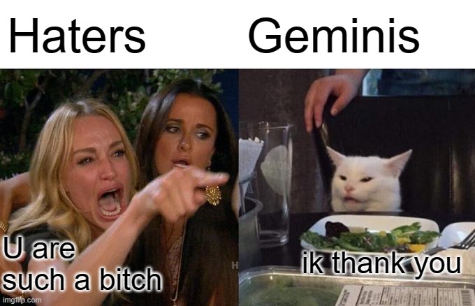 Woman Yelling At Cat Meme | Haters; Geminis; ik thank you; U are such a bitch | image tagged in memes,woman yelling at cat | made w/ Imgflip meme maker