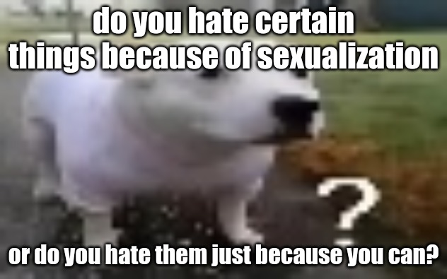 huh | do you hate certain things because of sexualization; or do you hate them just because you can? | image tagged in huh | made w/ Imgflip meme maker