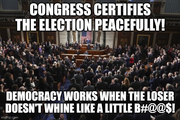 Baby Trump | CONGRESS CERTIFIES THE ELECTION PEACEFULLY! DEMOCRACY WORKS WHEN THE LOSER DOESN'T WHINE LIKE A LITTLE B#@@$! | image tagged in donald trump,trump,nevertrump,nevertrump meme,maga,republican | made w/ Imgflip meme maker