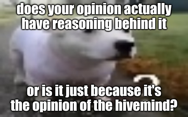 huh | does your opinion actually have reasoning behind it; or is it just because it's the opinion of the hivemind? | image tagged in huh | made w/ Imgflip meme maker