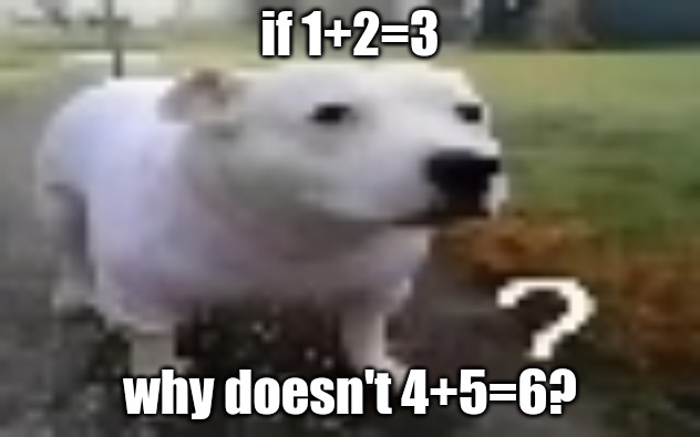 huh | if 1+2=3; why doesn't 4+5=6? | image tagged in huh | made w/ Imgflip meme maker