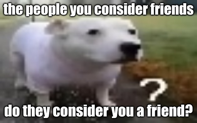 huh | the people you consider friends; do they consider you a friend? | image tagged in huh | made w/ Imgflip meme maker