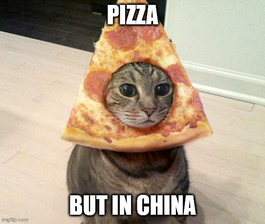 chinese ppl eating cats? i hate them! | PIZZA; BUT IN CHINA | image tagged in pizza cat,cats,china | made w/ Imgflip meme maker