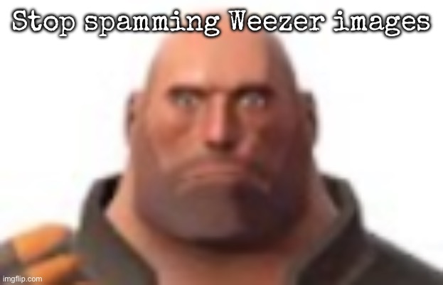 Not funny | Stop spamming Weezer images | image tagged in close-up staring heavy,msmg | made w/ Imgflip meme maker