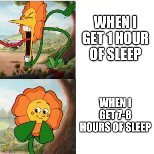 Cuphead Flower | WHEN I GET 1 HOUR OF SLEEP; WHEN I GET 7-8 HOURS OF SLEEP | image tagged in cuphead flower | made w/ Imgflip meme maker